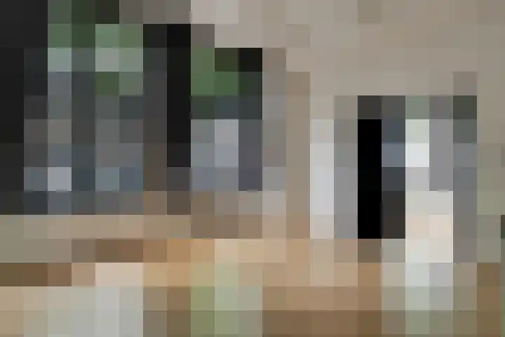Achterom 3 Hoorn thumbnail 5