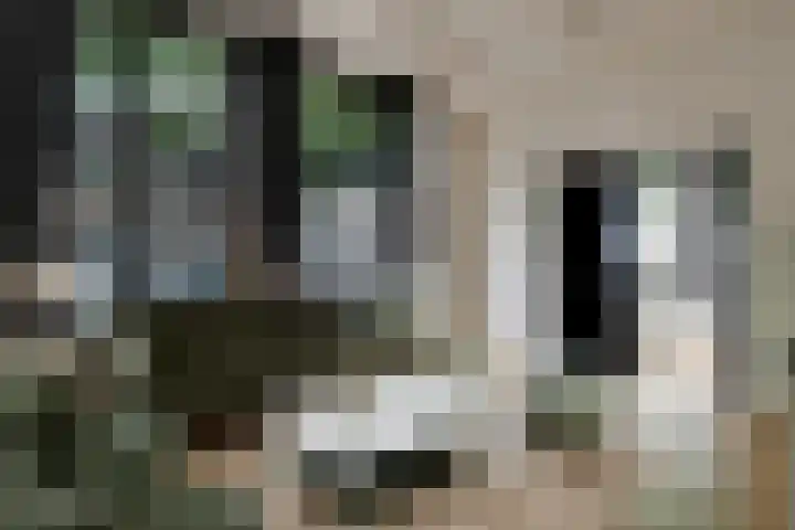 Achterom 3 Hoorn thumbnail 6
