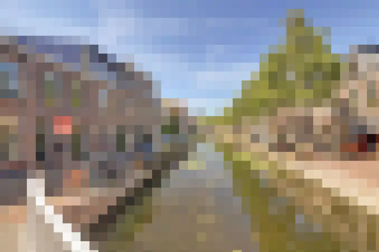 Achterom 34 Delft thumbnail 8