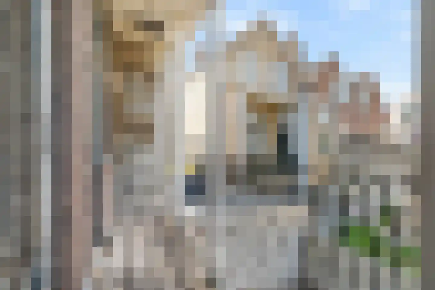 Achterom 36 Delft thumbnail 17