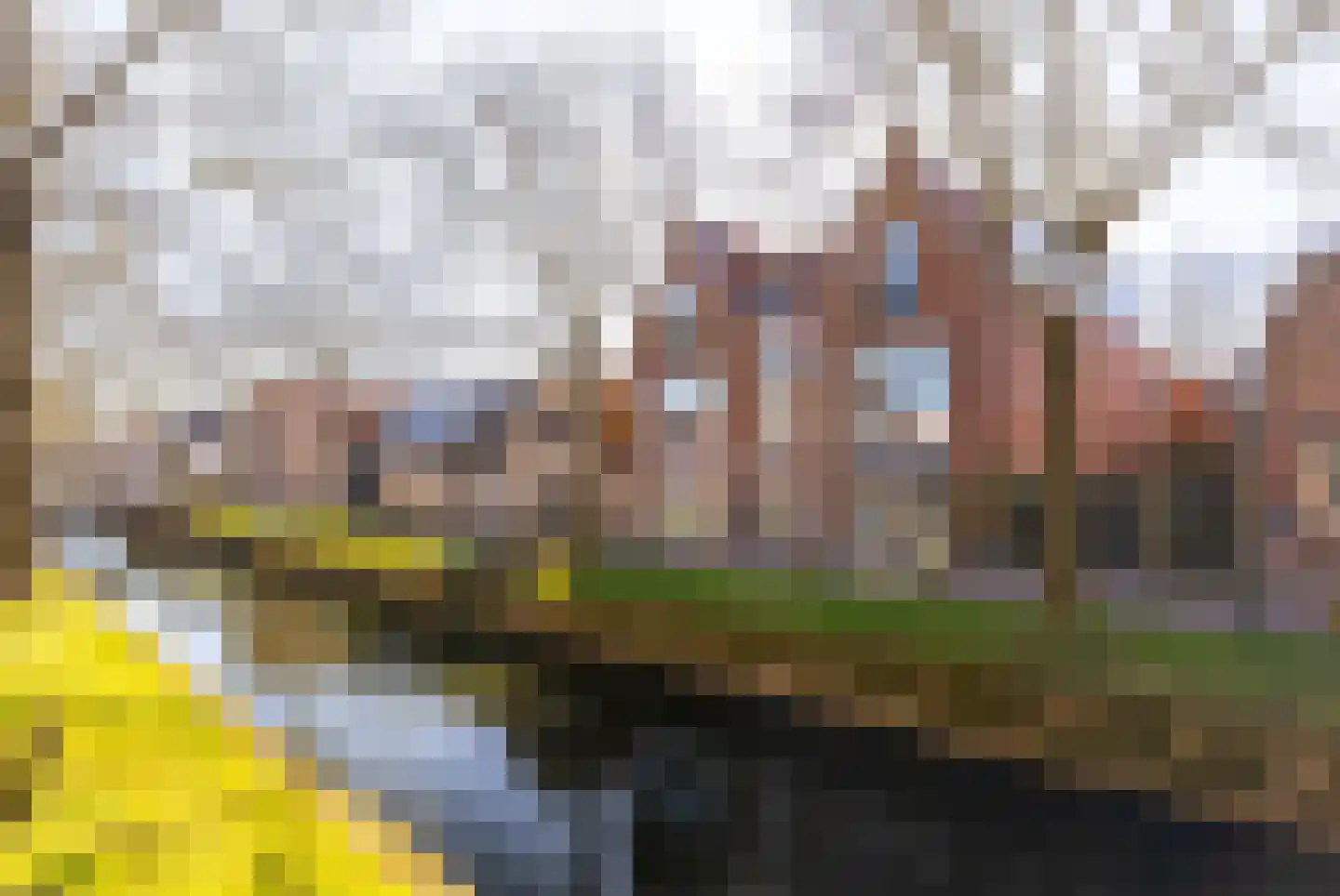 Achterom 37 A Medemblik thumbnail 38