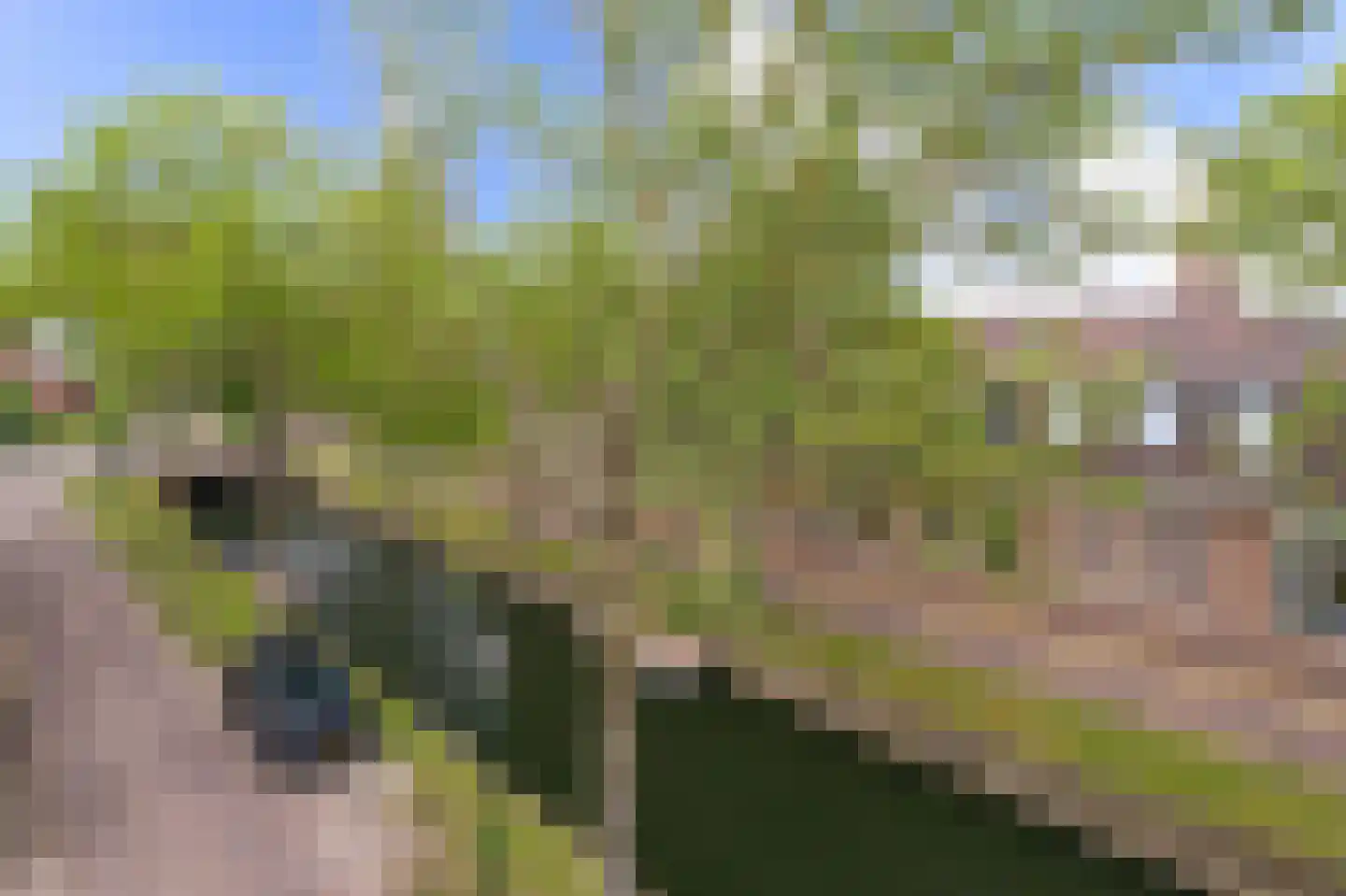 Achterom 37 E Medemblik thumbnail 41