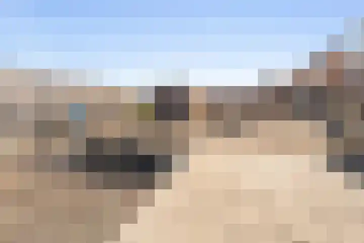 Achterom 38 D Emmeloord thumbnail 10