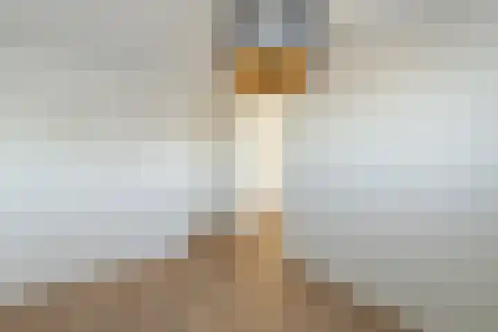 Achterom 38 D Emmeloord thumbnail 24