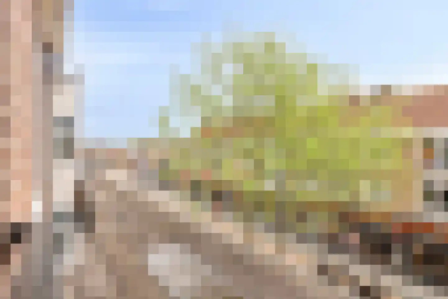 Achterom 40 B Emmeloord thumbnail 14
