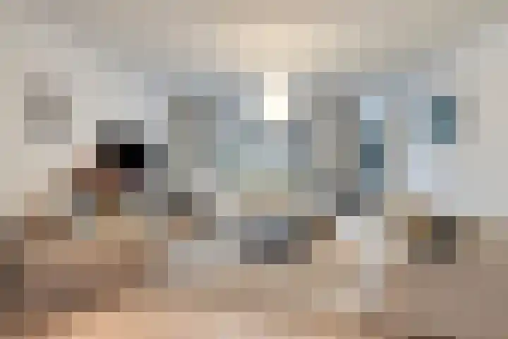 Achterom 41 Hoorn thumbnail 32