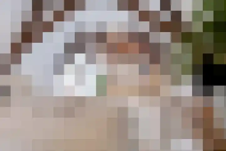 Achterom 41 Hoorn thumbnail 51