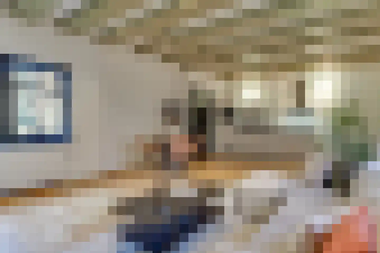 Achterom 5 Hoorn thumbnail 10