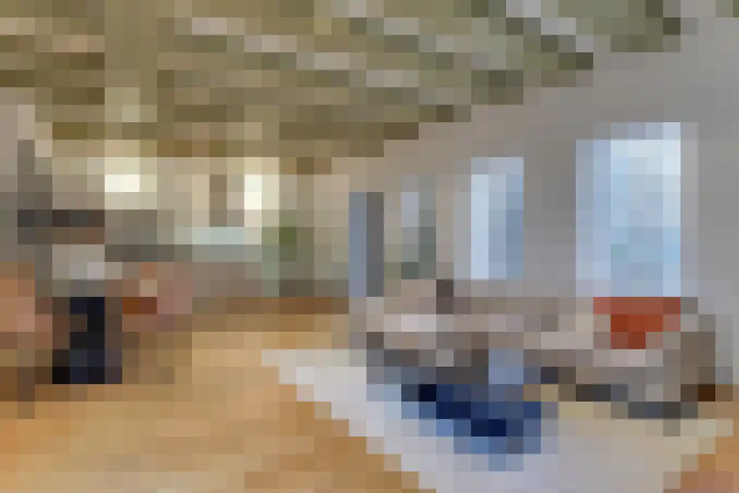 Achterom 5 Hoorn thumbnail 12