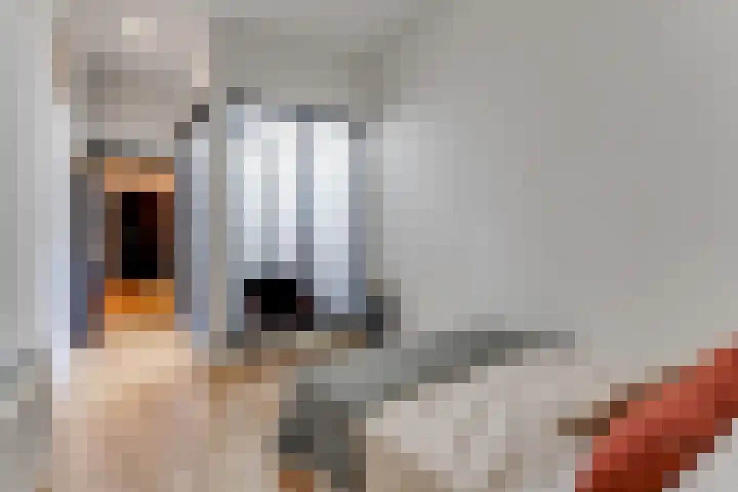 Achterom 5 Hoorn thumbnail 20
