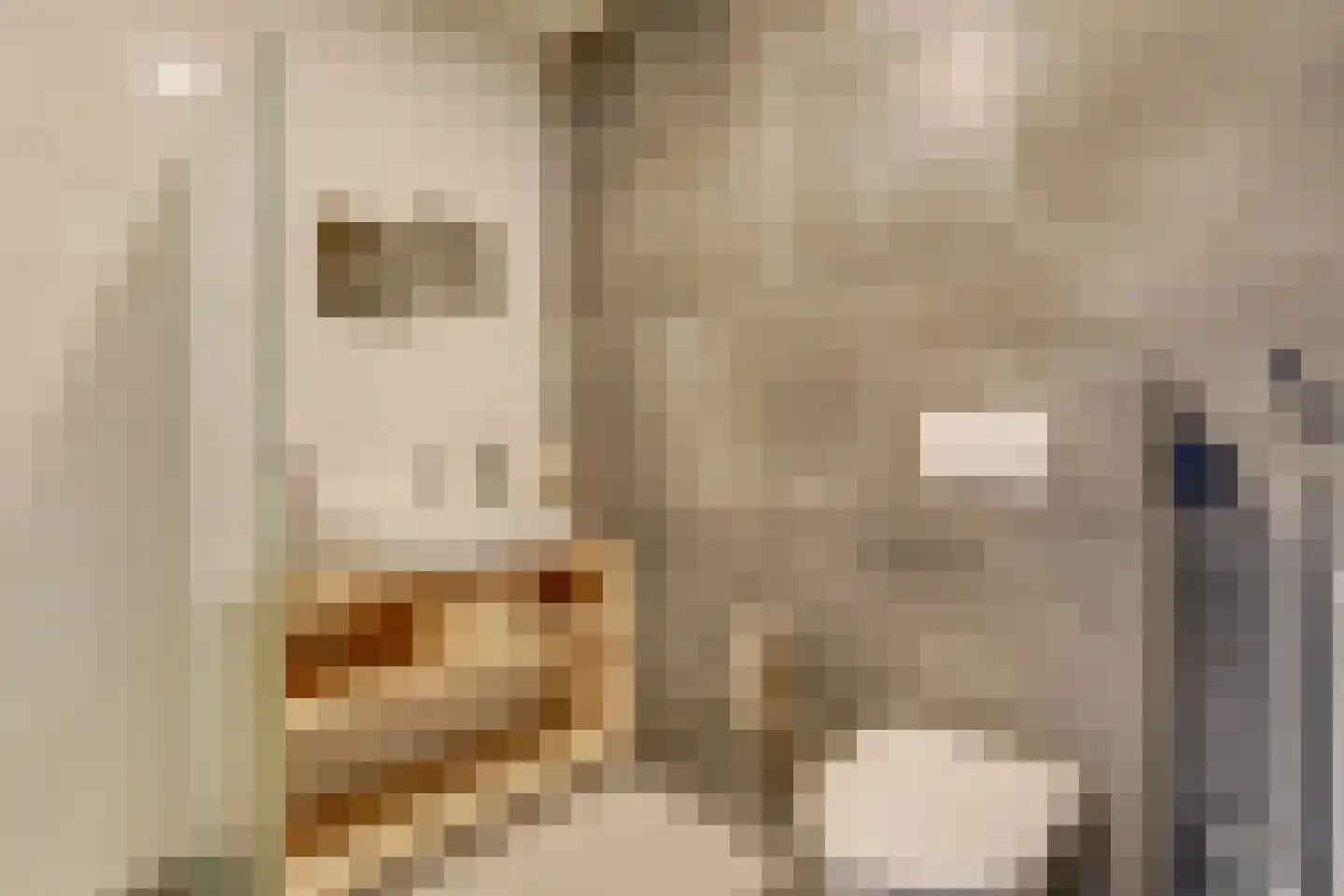 Achterom 5 Hoorn thumbnail 23