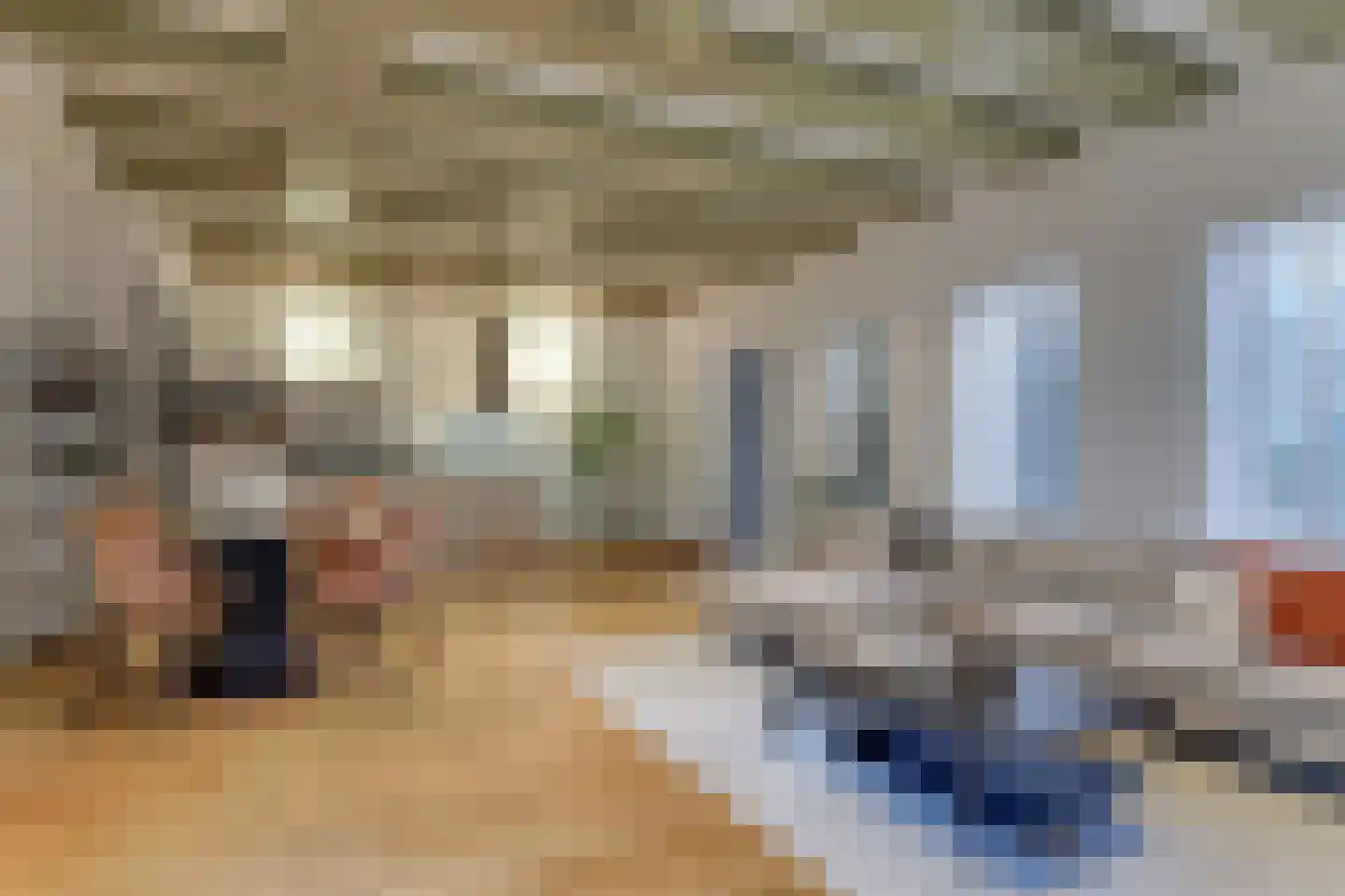 Achterom 5 Hoorn thumbnail 8