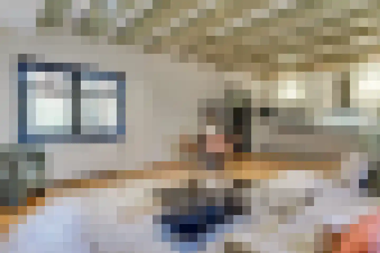 Achterom 5 Hoorn thumbnail 9