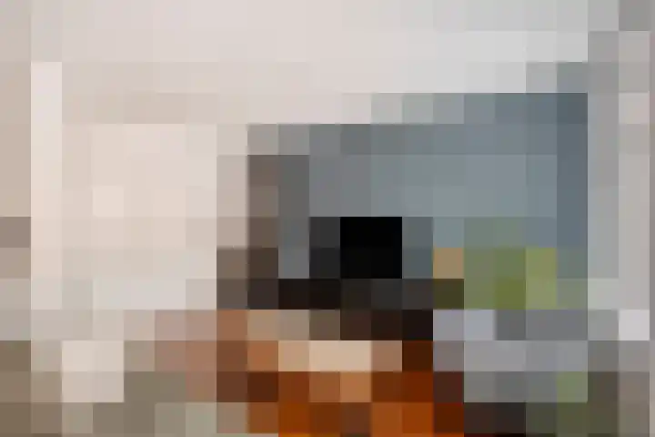 Achterom 52 A Hoorn thumbnail 8