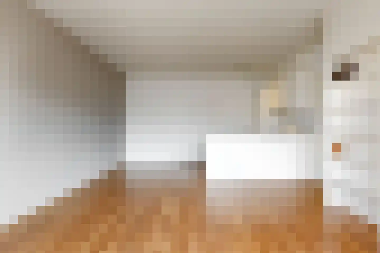 Achterom 52 C Hoorn thumbnail 6