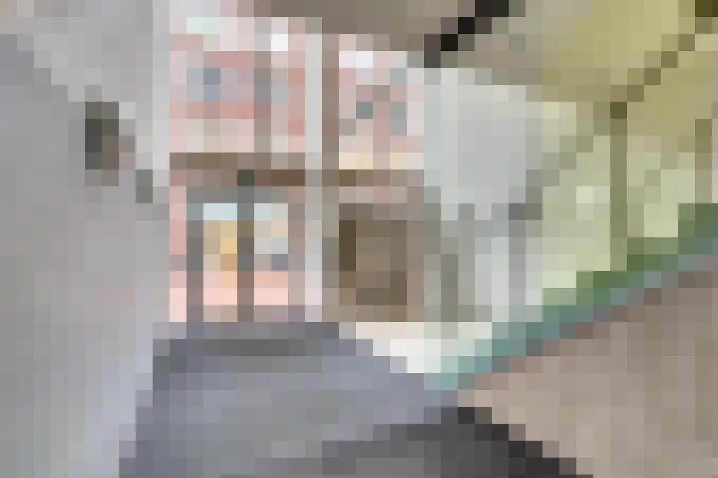 Achterom 55 Dordrecht thumbnail 6