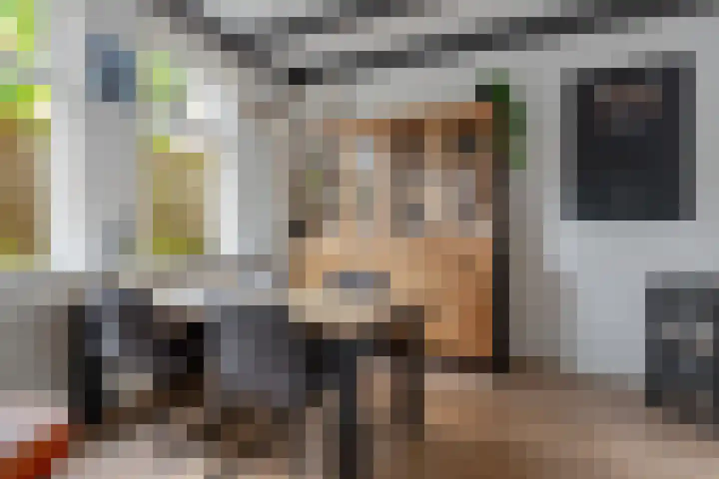 Achterom 6 Aldeboarn thumbnail 13
