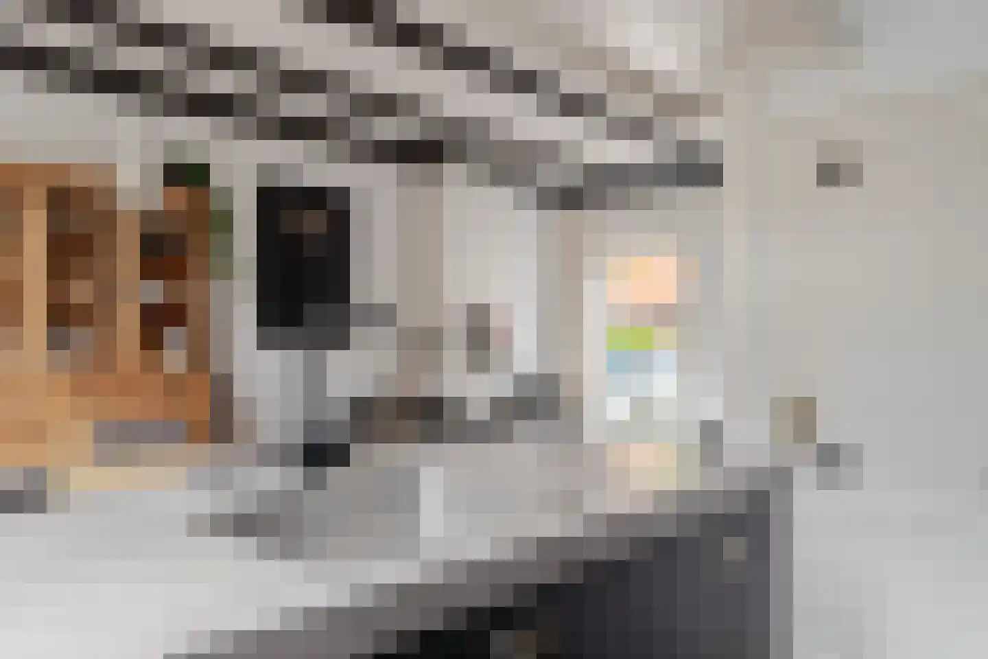 Achterom 6 Aldeboarn thumbnail 16