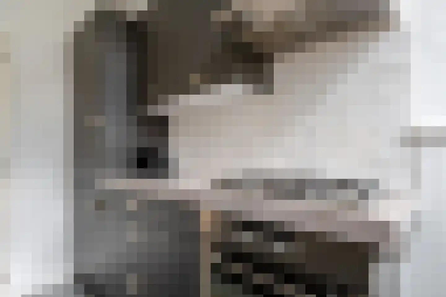 Achterom 6 Aldeboarn thumbnail 17