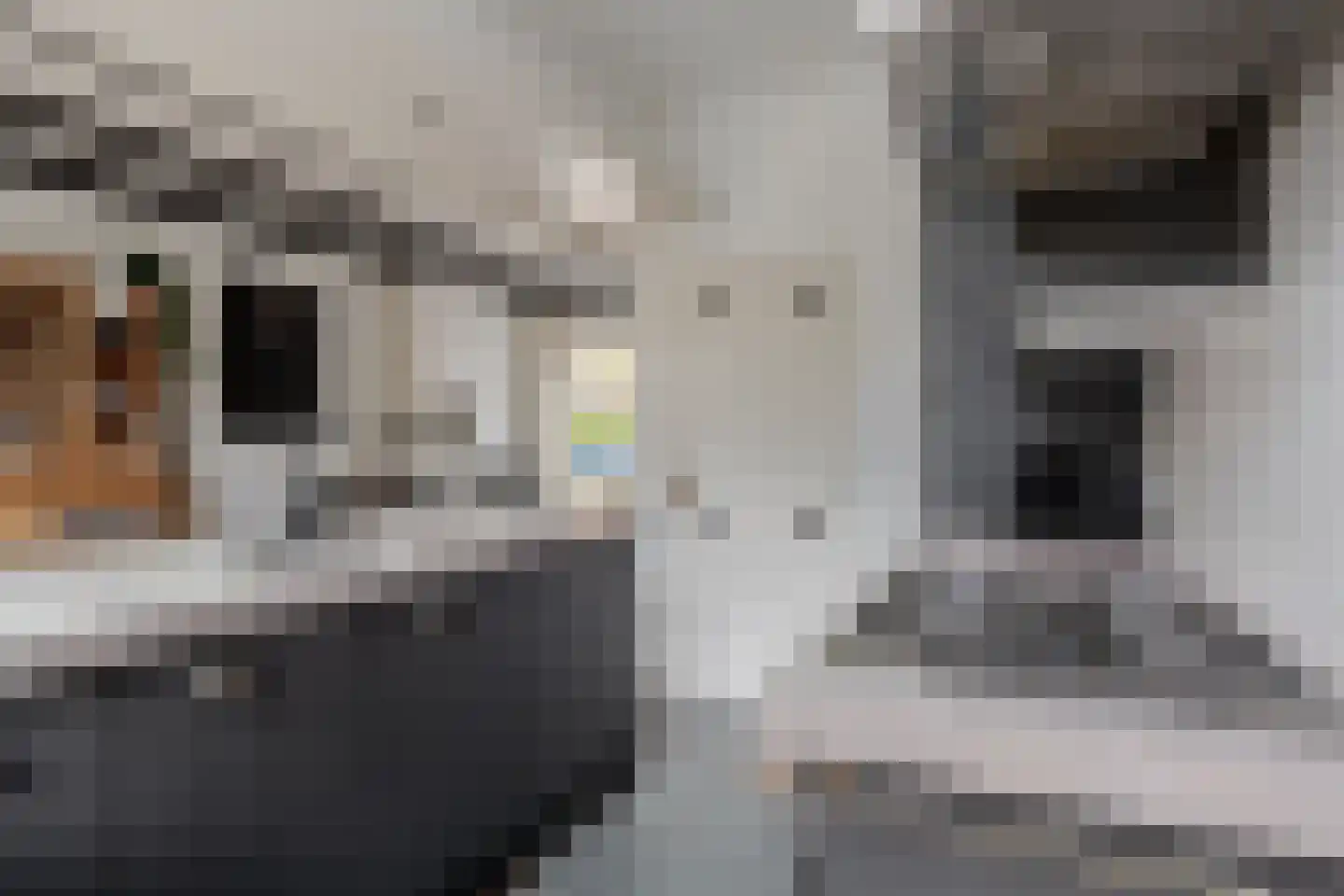 Achterom 6 Aldeboarn thumbnail 18