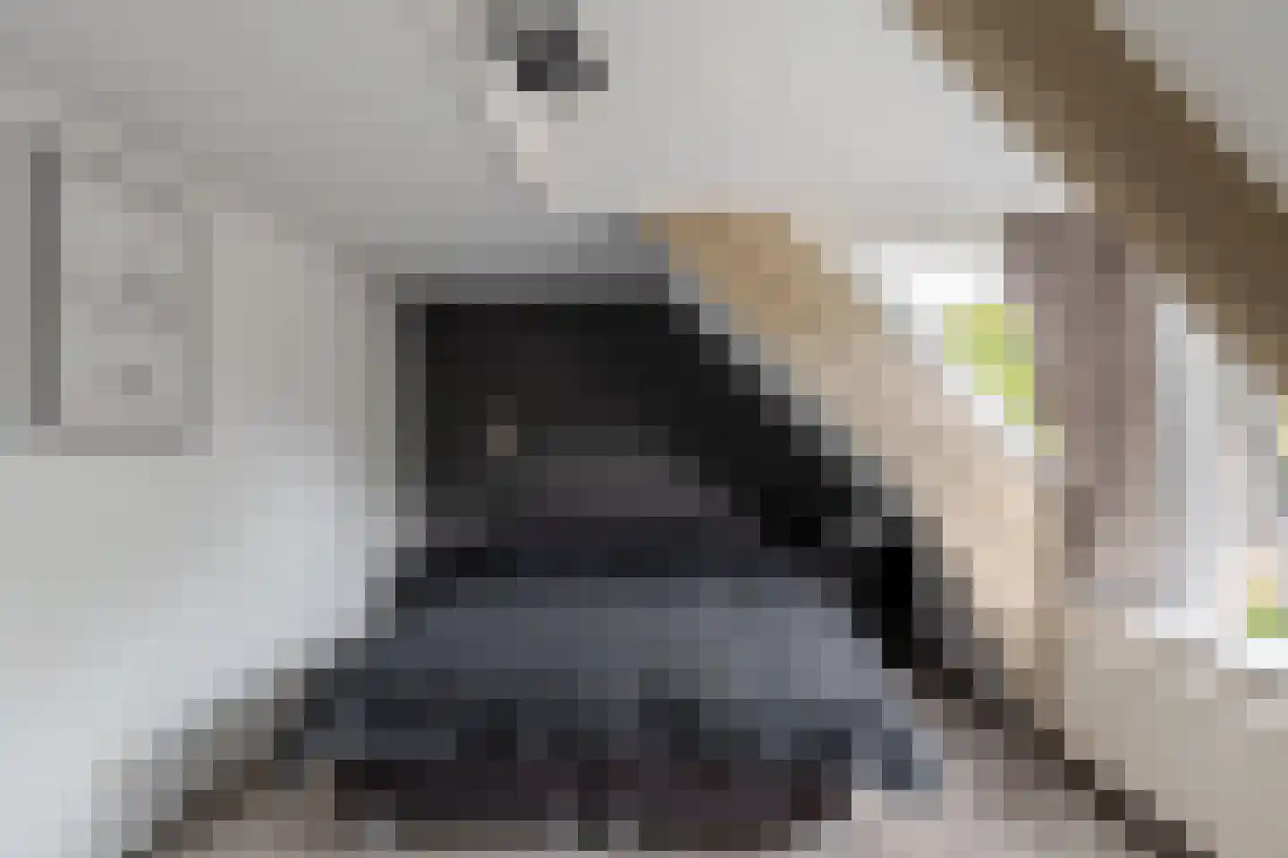 Achterom 6 Aldeboarn thumbnail 20