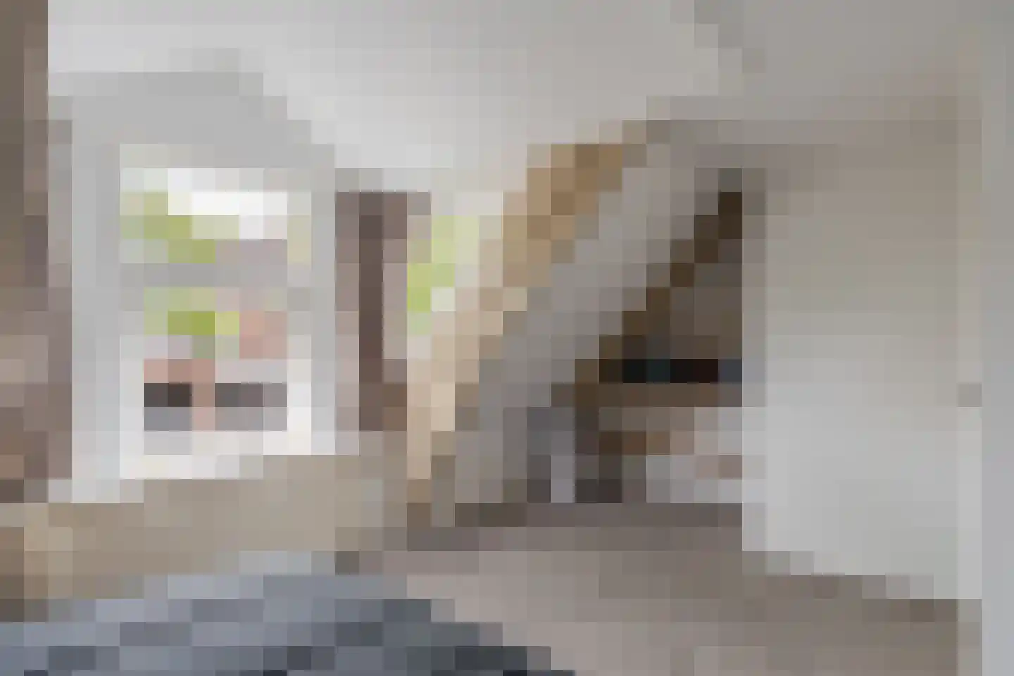 Achterom 6 Aldeboarn thumbnail 21