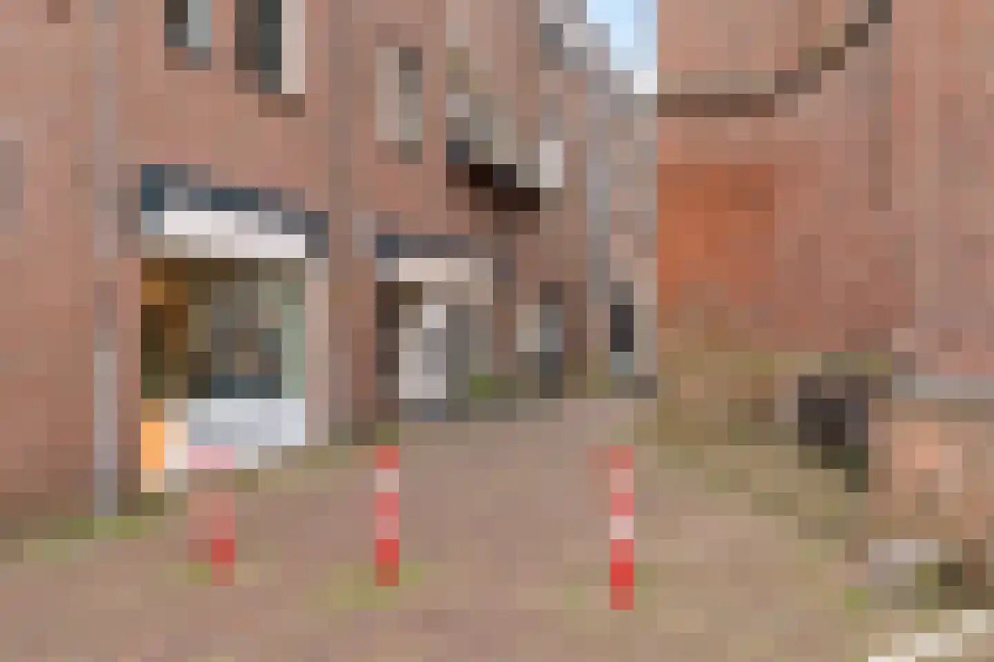 Achterom 6 Harderwijk thumbnail 30