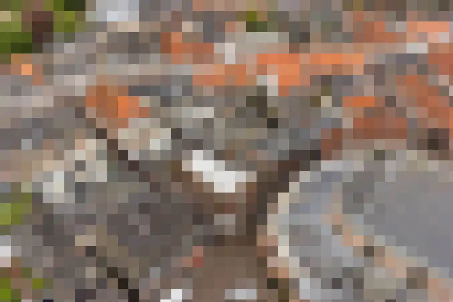 Achterom 6 Harderwijk thumbnail 35
