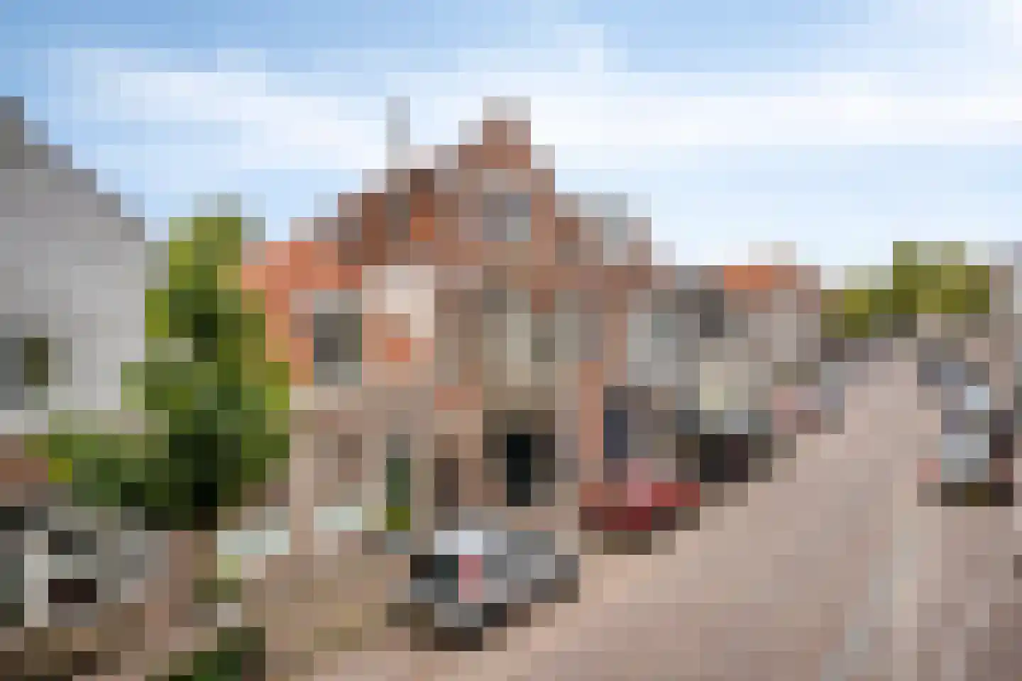 Achterom 65 Hoorn thumbnail 29
