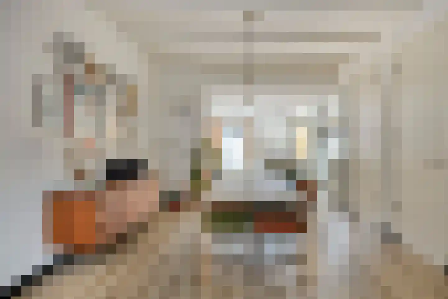 Achterom 65 Hoorn thumbnail 8