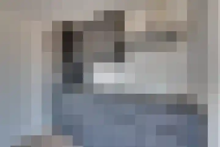 Achterom 98 D Hoorn thumbnail 11