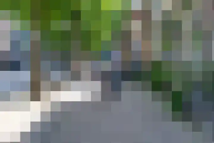 Achterom 98 D Hoorn thumbnail 30