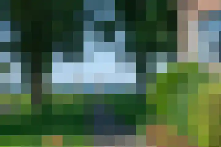 Achterom 98 D Hoorn thumbnail 31