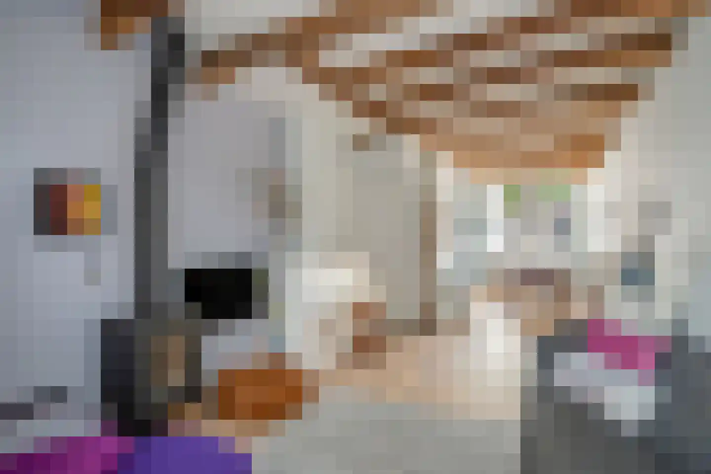 Achterom 98 Delft thumbnail 11