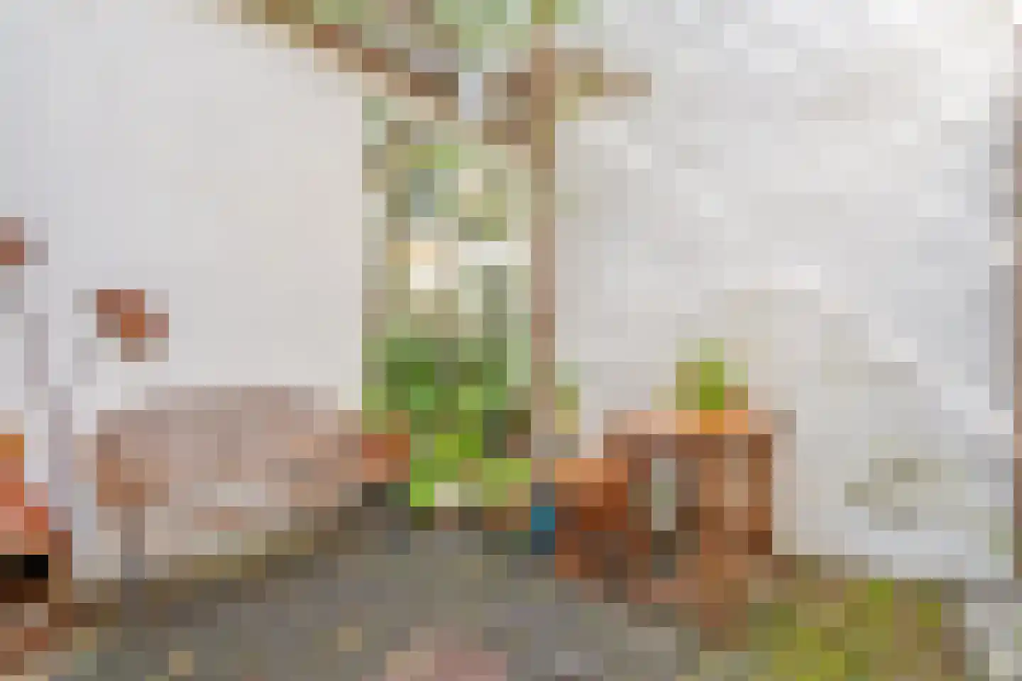 Achterom 98 Delft thumbnail 18
