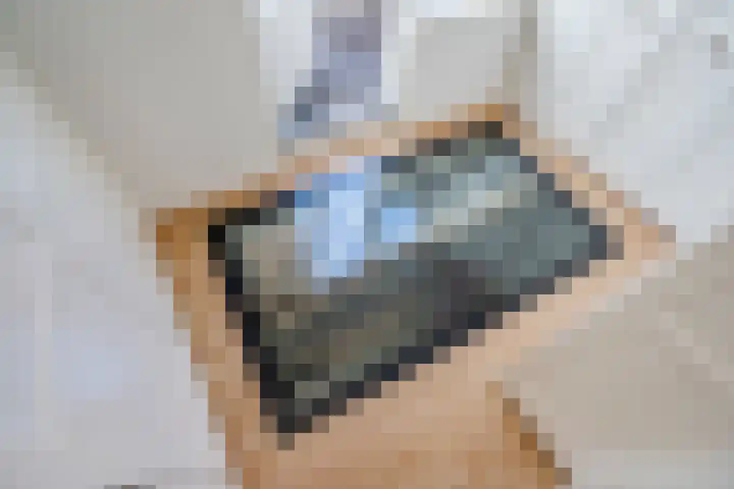 Achterom 98 Delft thumbnail 30