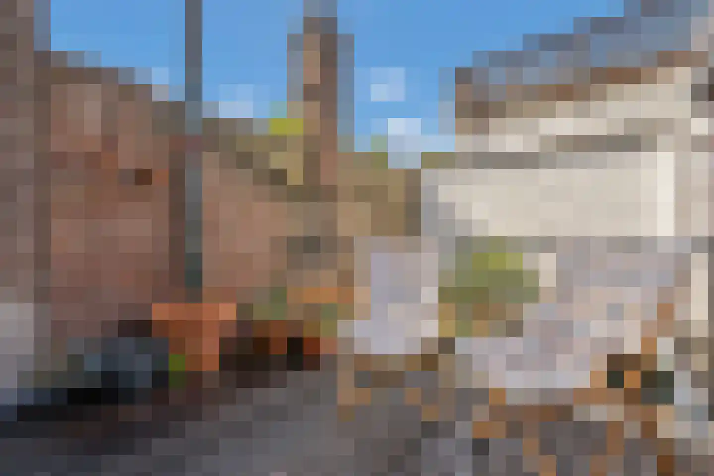 Achterom 98 Delft thumbnail 32