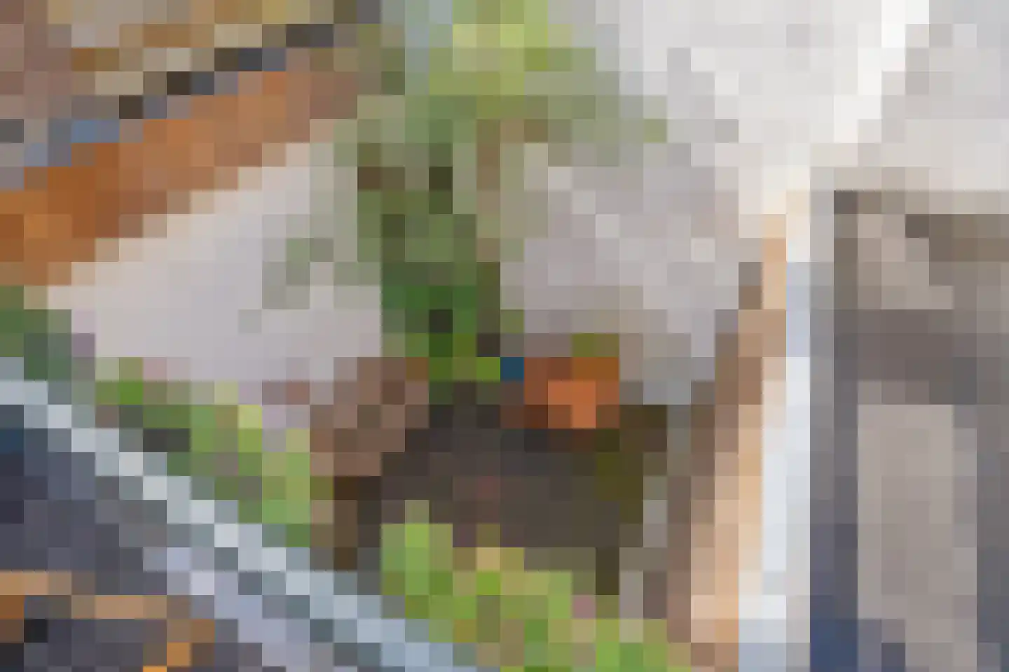 Achterom 98 Delft thumbnail 33