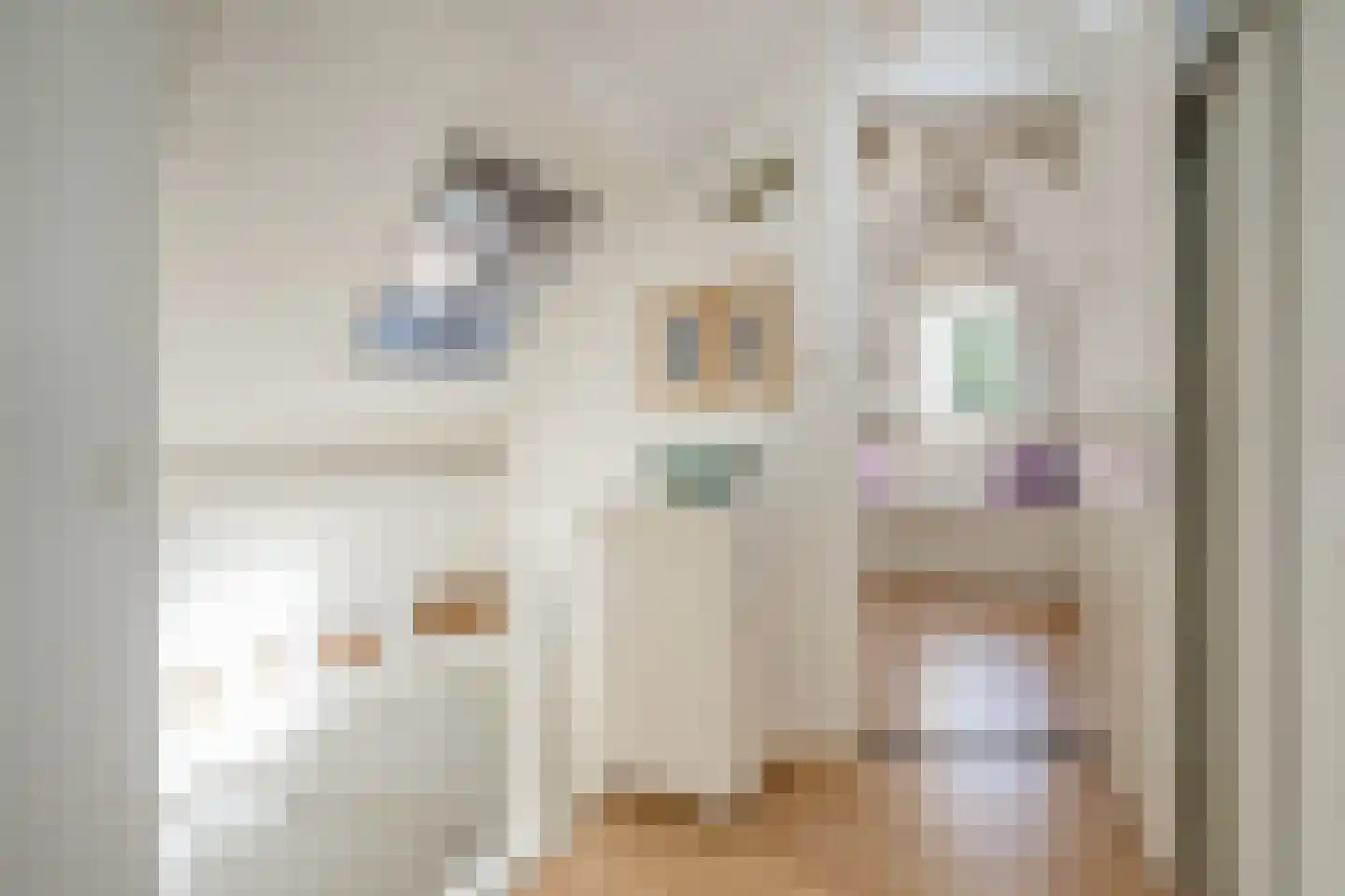 Achterom 98 Delft thumbnail 34