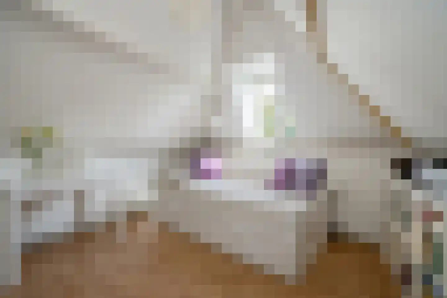 Achterom 98 Delft thumbnail 35