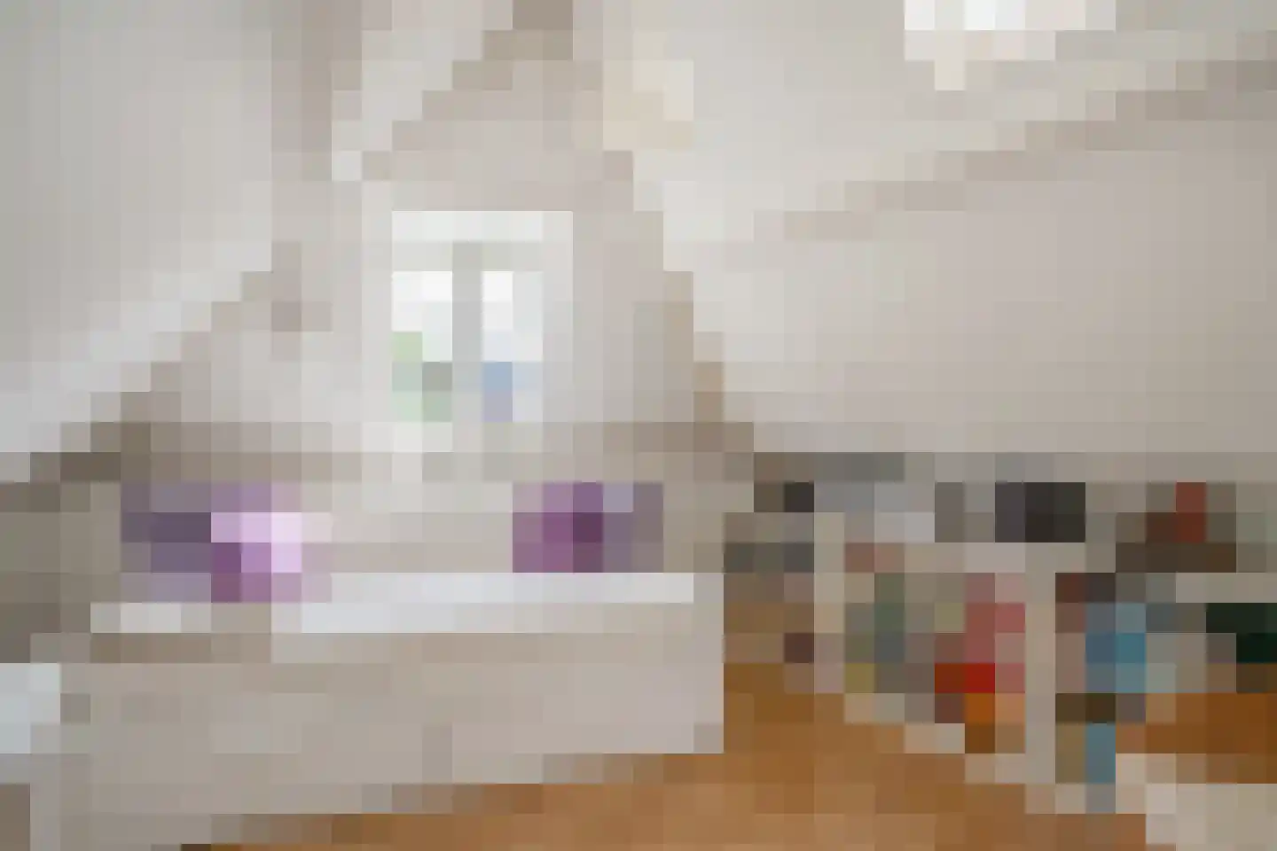 Achterom 98 Delft thumbnail 36