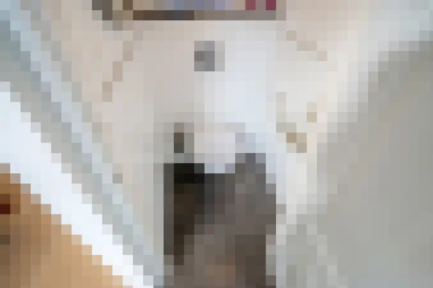 Achterom 98 Delft thumbnail 7