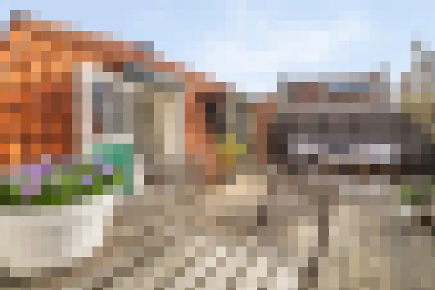 Achteromstraat 3 Weesp thumbnail 22