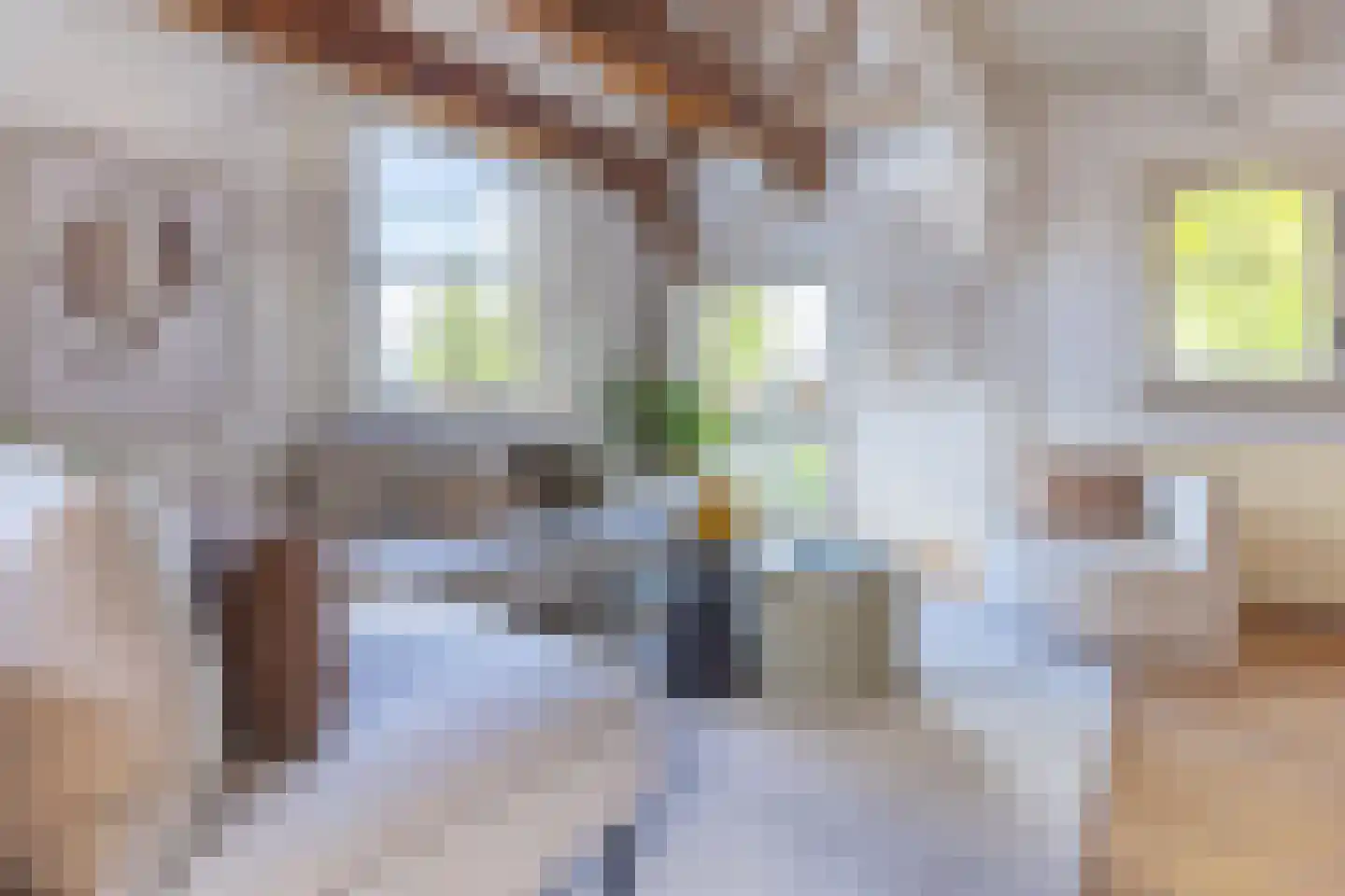 Achteromstraat 35 Weesp thumbnail 17
