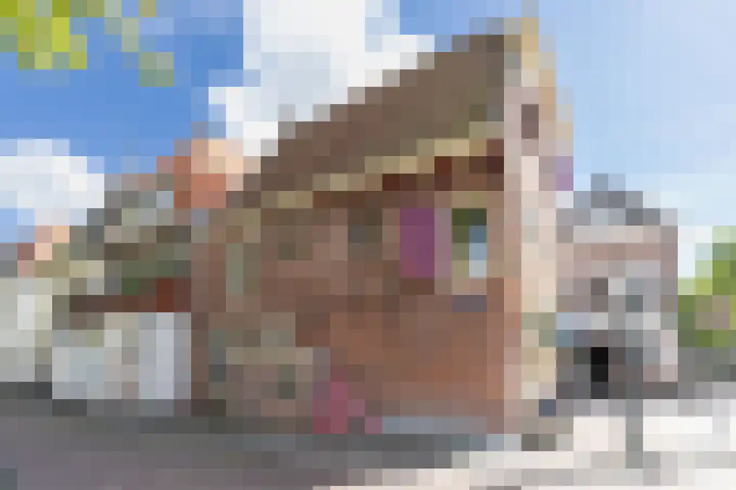 Achteromstraat 35 Weesp thumbnail 38