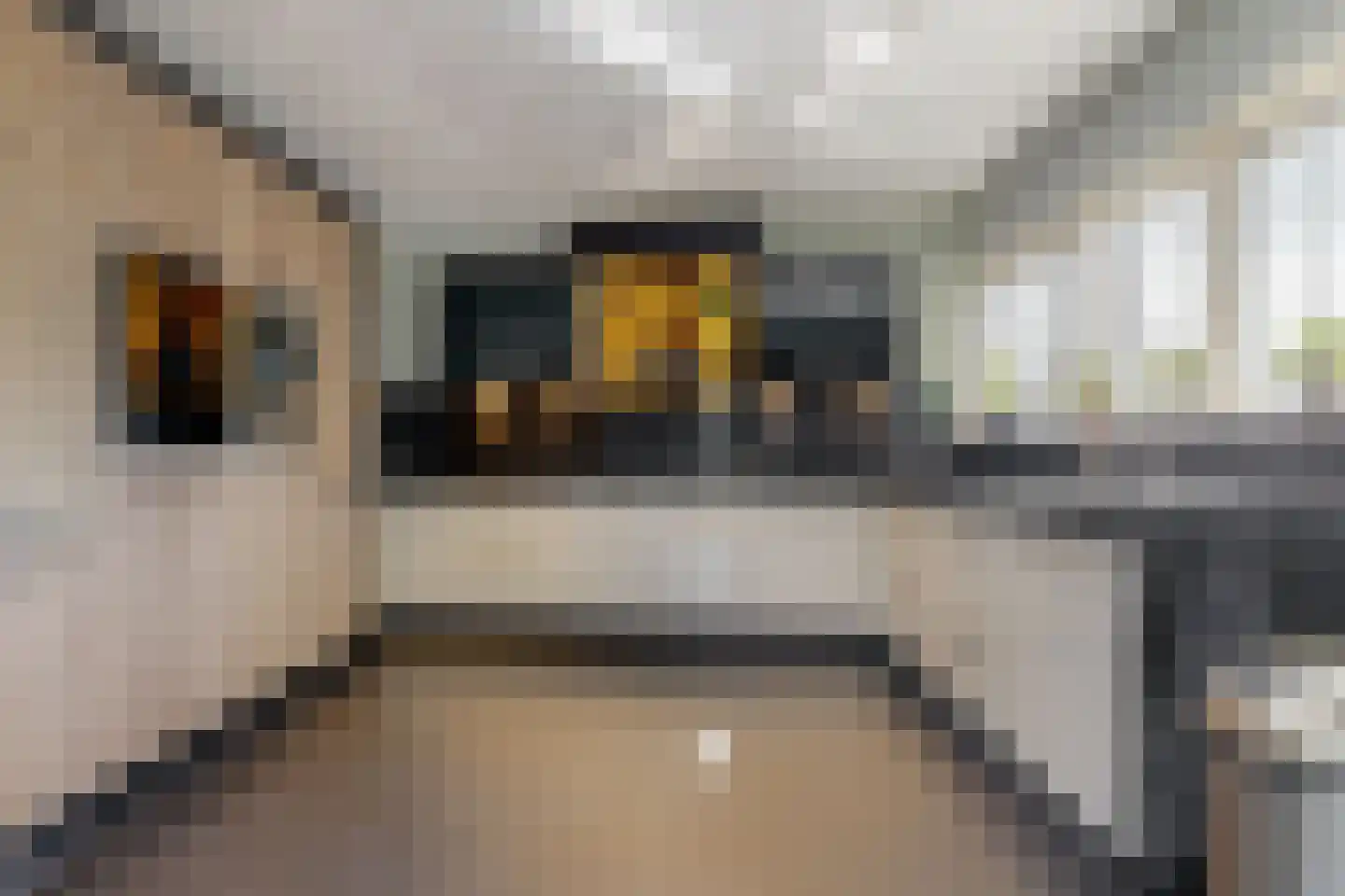 Achteronder 18 Urk thumbnail 13