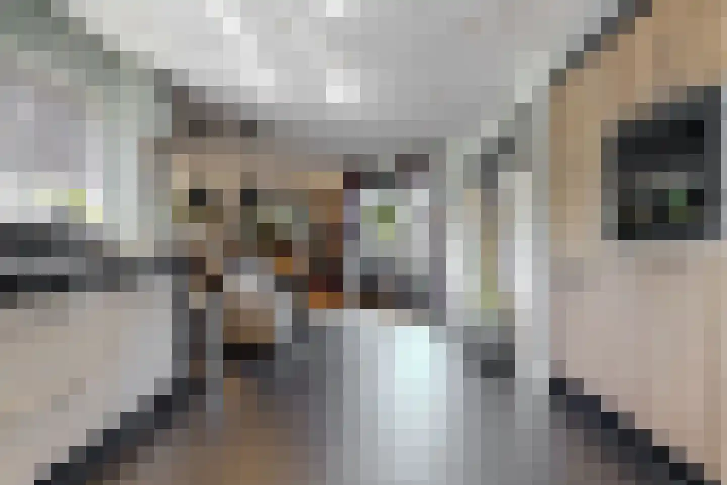 Achteronder 18 Urk thumbnail 14