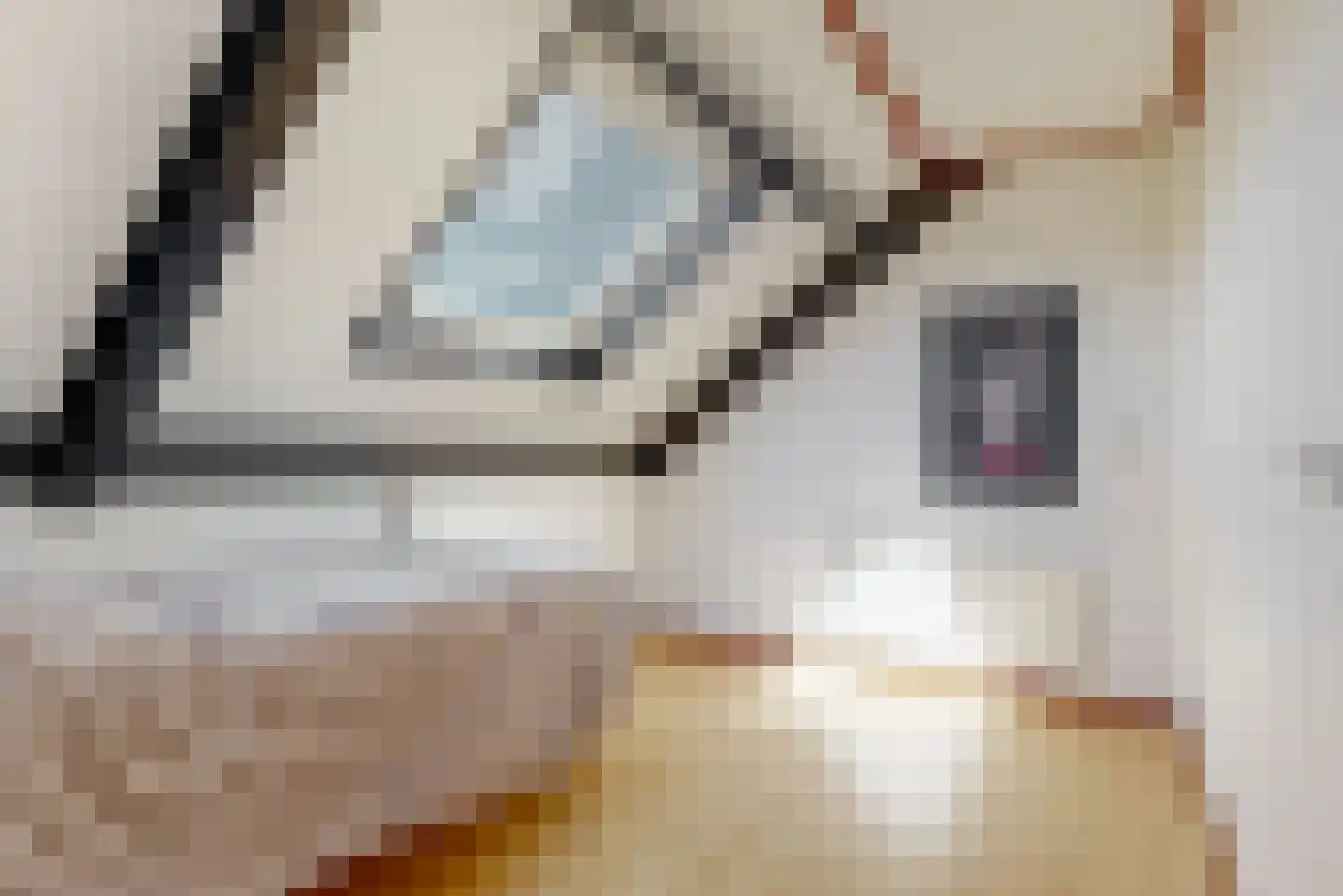 Achteronder 18 Urk thumbnail 32