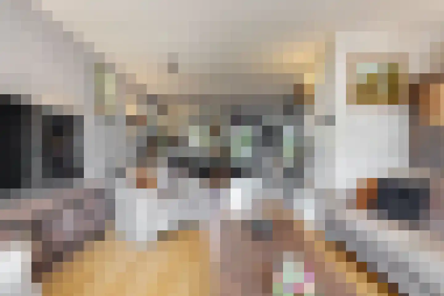 Achteronder 18 Urk thumbnail 6