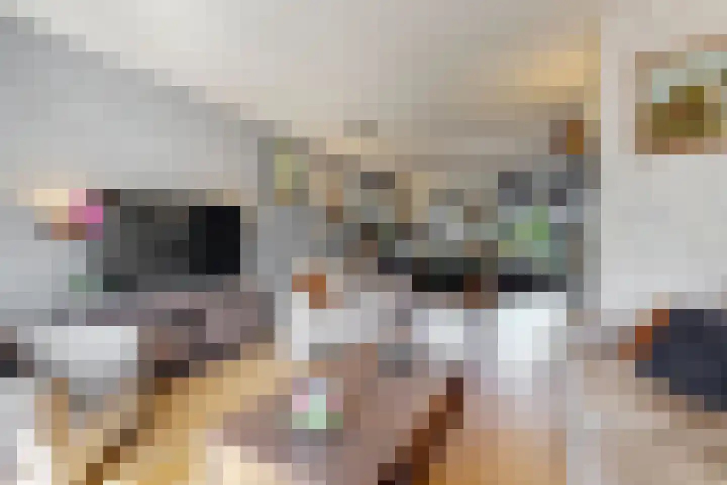 Achteronder 18 Urk thumbnail 7